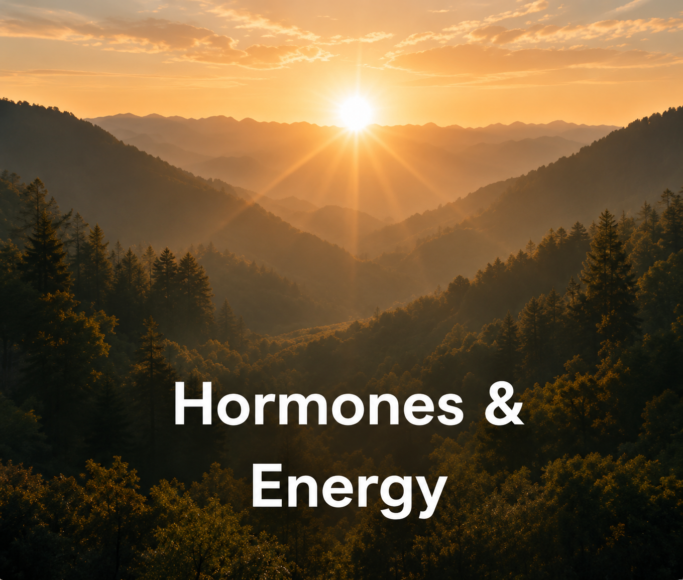 hormones & energy