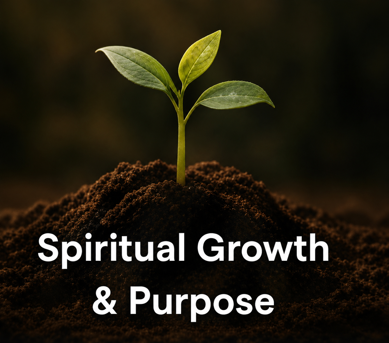 spiritual growth & purpose